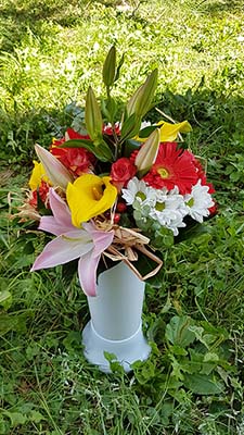 Kytice - Květiny Buš