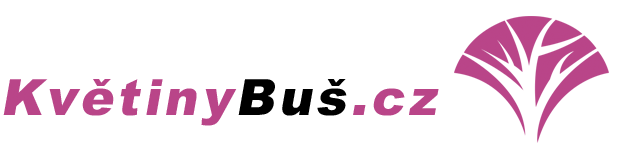 Květiny Buš - Logo horizontální